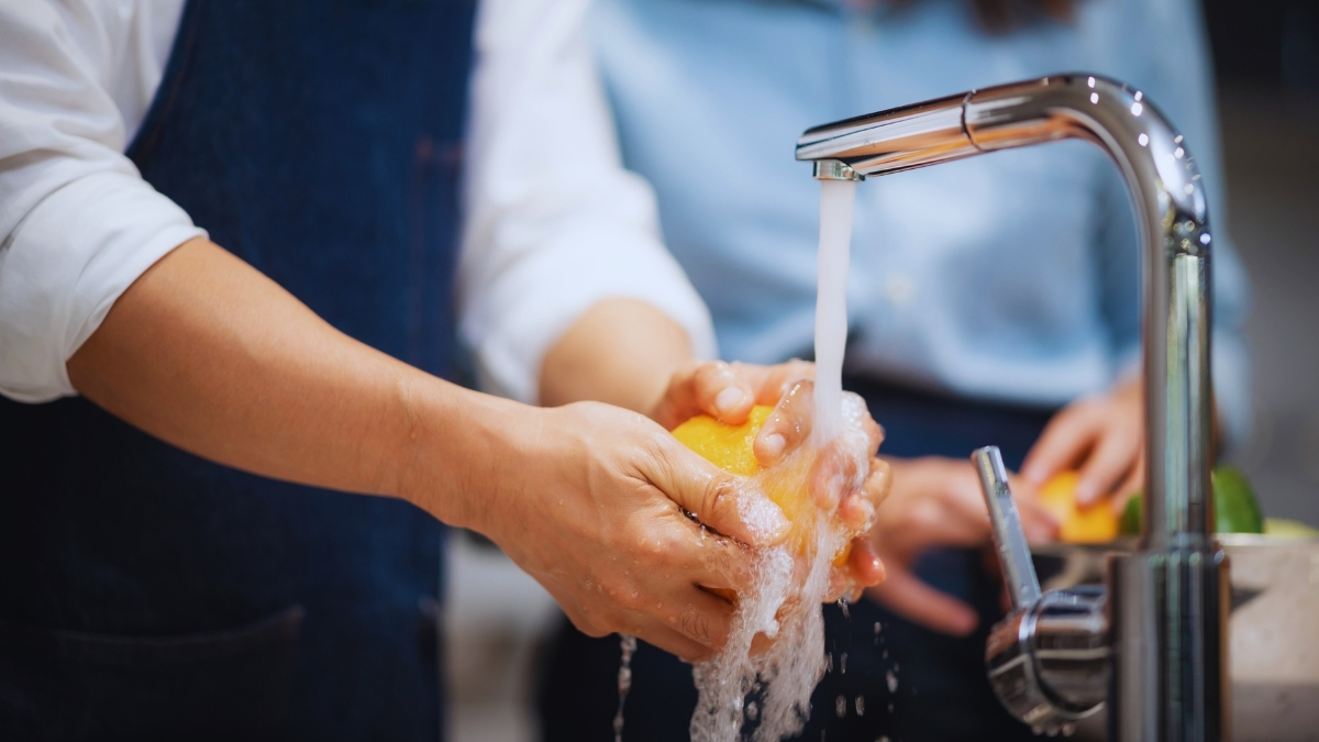 Formation Sécurité Alimentaire en restauration